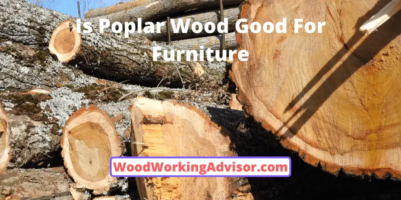 Is Poplar Wood Good For Furniture