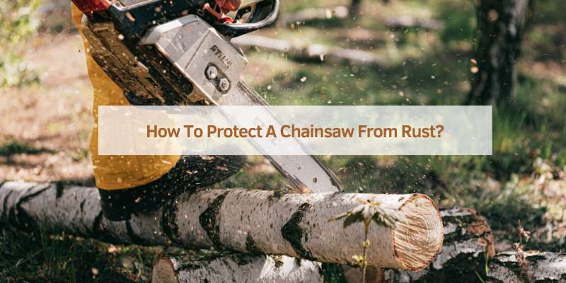 How To Protect A Chainsaw From Rust?