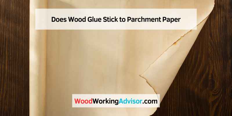 Does Wood Glue Stick to Parchment Paper