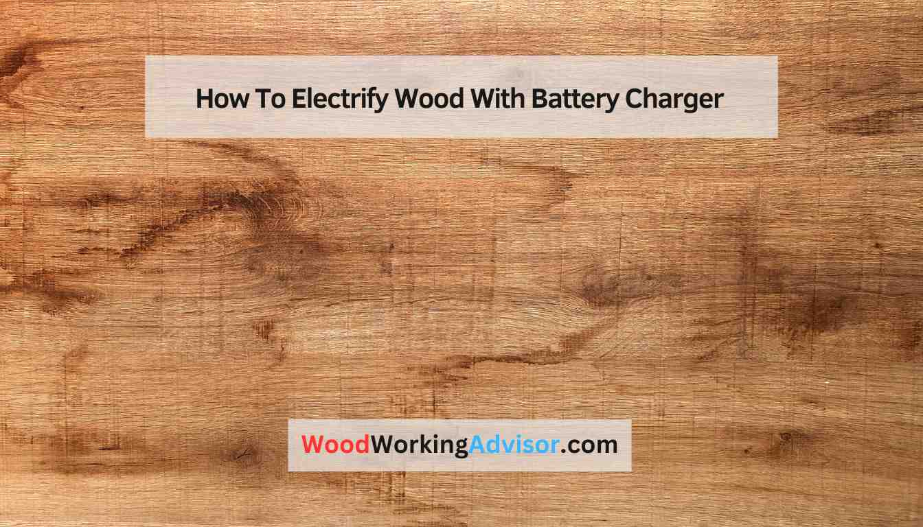 How To Electrify Wood With Battery Charger