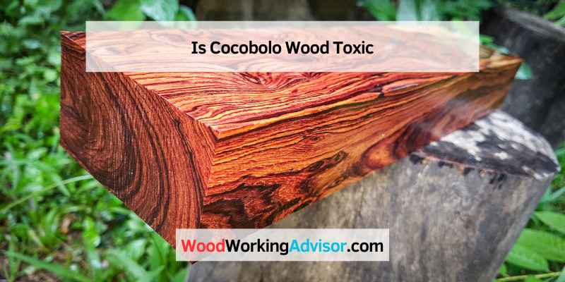 Is Cocobolo Wood Toxic