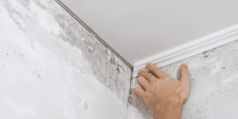 how to cut molding corners