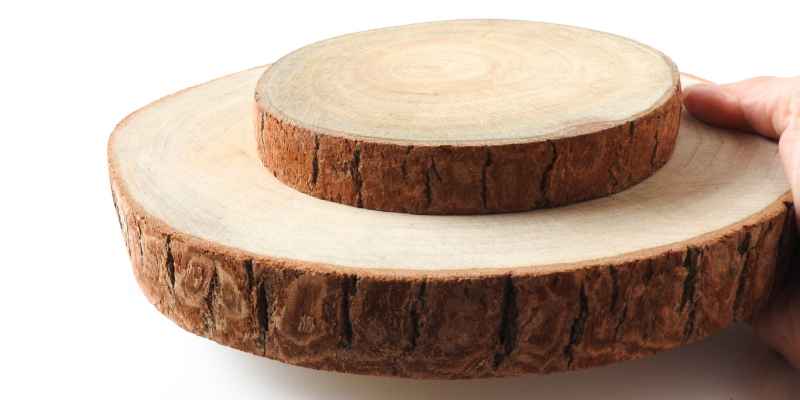 How to Preserve Wood Slices