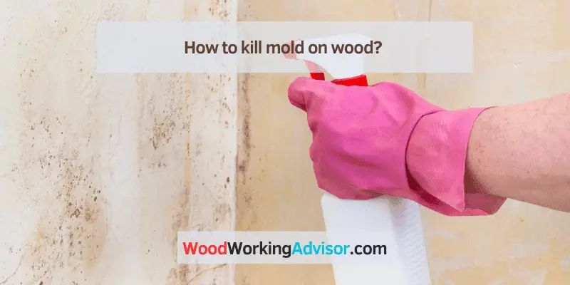 How to kill mold on wood?