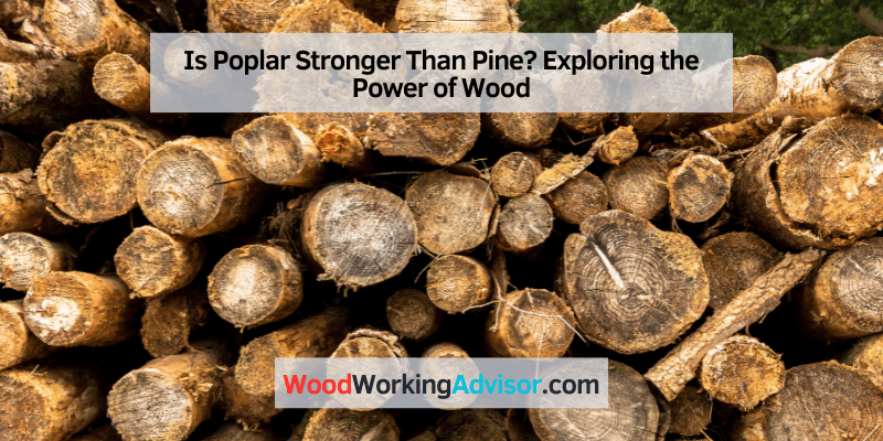 Is Poplar Stronger Than Pine