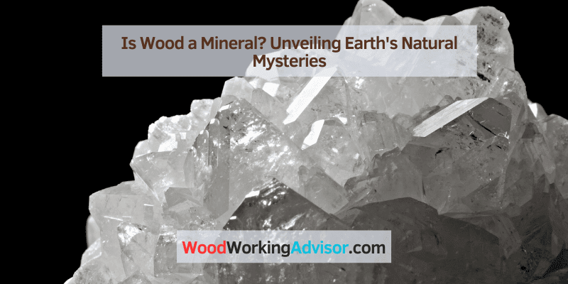 Is Wood a Mineral?