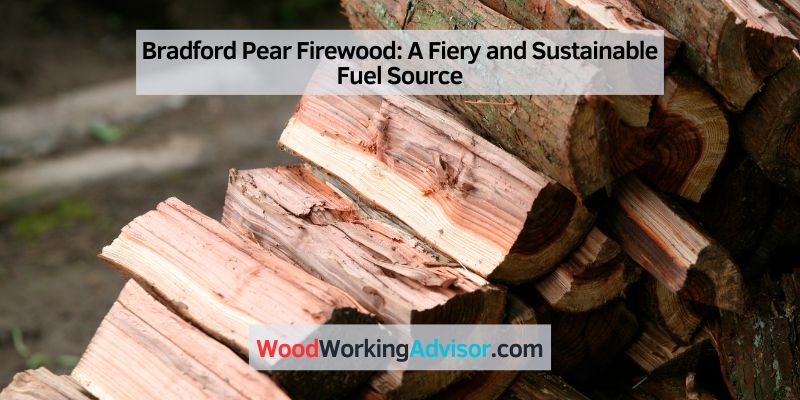 Bradford Pear Firewood