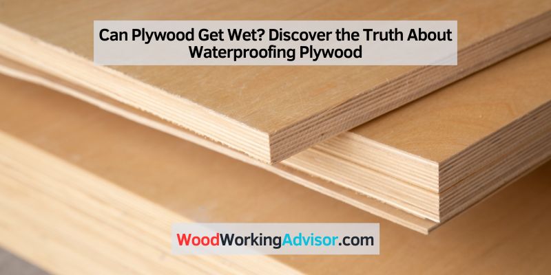 Can Plywood Get Wet