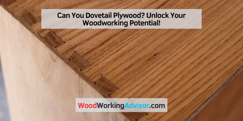 Can You Dovetail Plywood