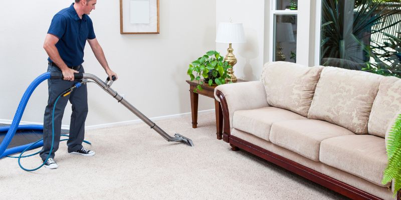 Can You Steam Clean a Rug on Hardwood Floors