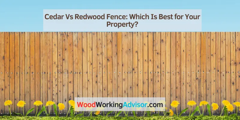 Cedar Vs Redwood Fence