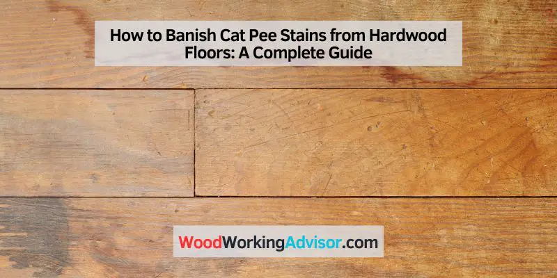 How to Banish Cat Pee Stains from Hardwood Floors