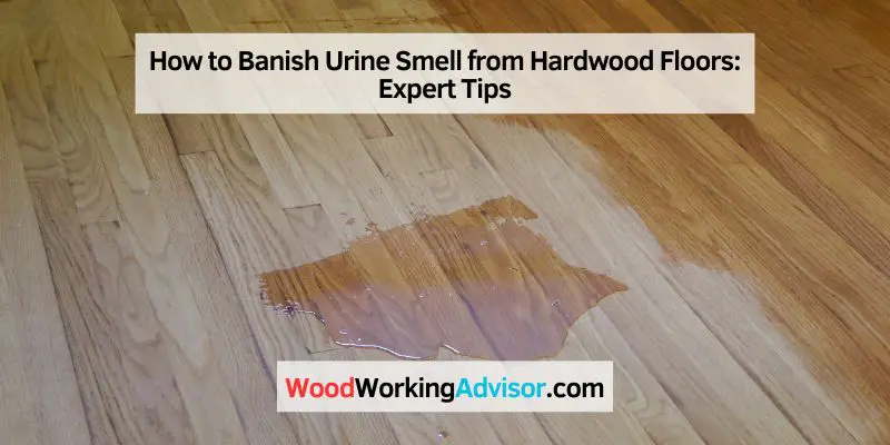 How to Banish Urine Smell from Hardwood Floors