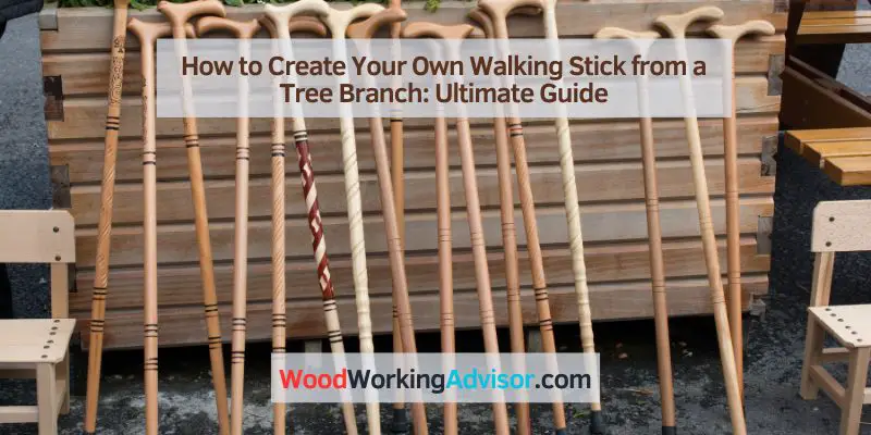 How to Create Your Own Walking Stick from a Tree Branch