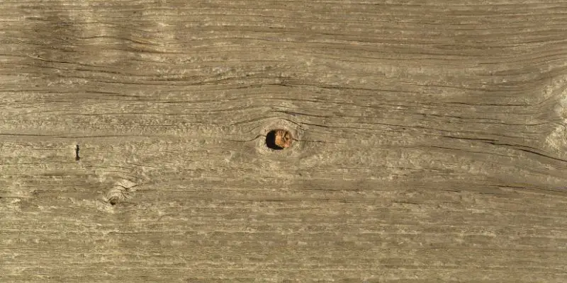 How to Fill Holes in Wood