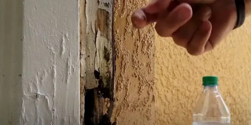 How to Repair Gouges in Wood Doors