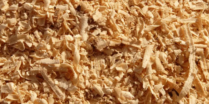 How to turn sawdust into sustainable paper