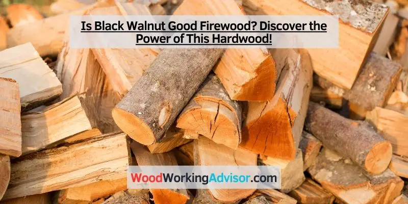Is Black Walnut Good Firewood