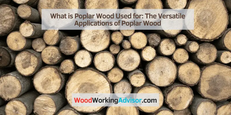 What is Poplar Wood Used for