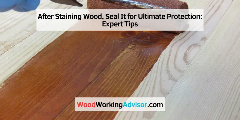 After Staining Wood, Seal It for Ultimate Protection: Expert Tips
