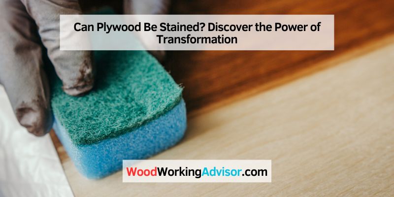 Can Plywood Be Stained