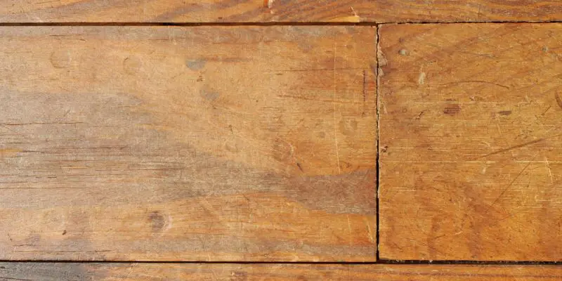 How Do You Remove Urine Stains from Hardwood Floors