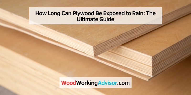 How Long Can Plywood Be Exposed to Rain