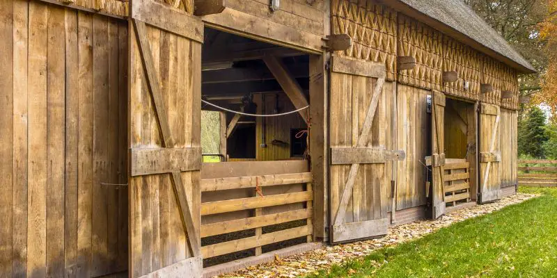 How to Build a Shed Door With Plywood