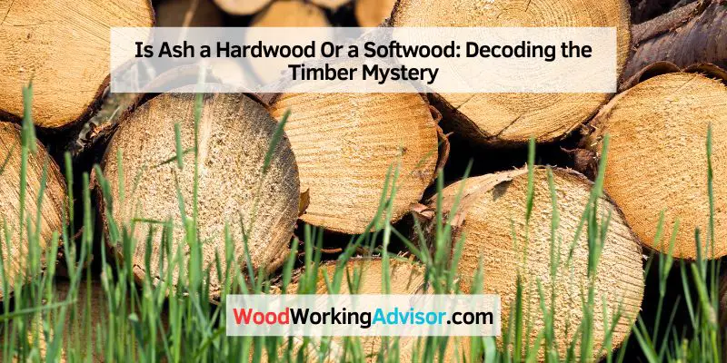 Is Ash a Hardwood Or a Softwood