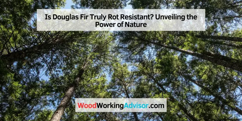 Is Douglas Fir Truly Rot Resistant