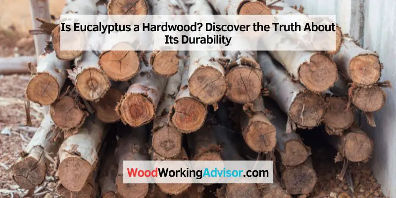 Is Eucalyptus a Hardwood