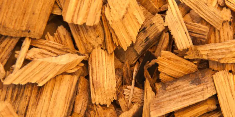 Is Pecan Wood Good for Smoking