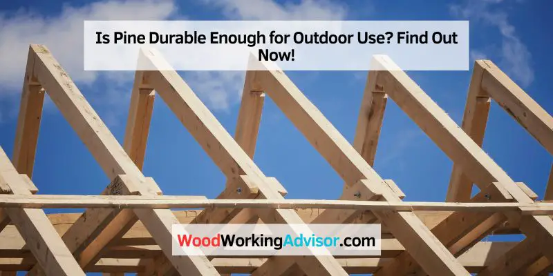 Is Pine Durable Enough for Outdoor Use