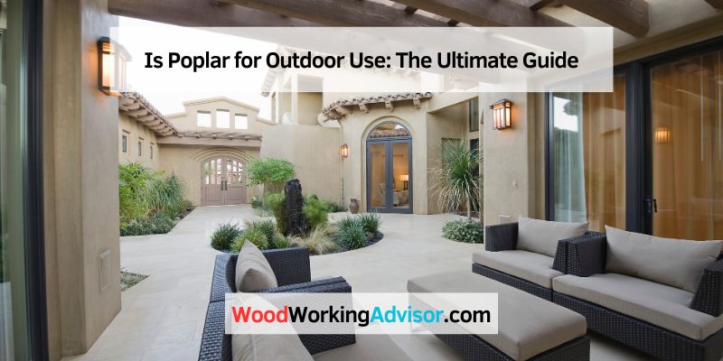 Is Poplar for Outdoor Use