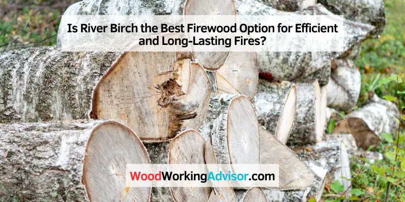 Is River Birch the Best Firewood