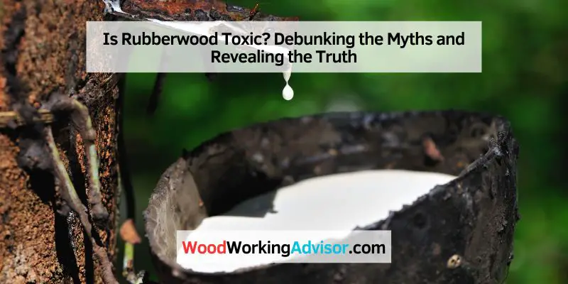 Is Rubberwood Toxic