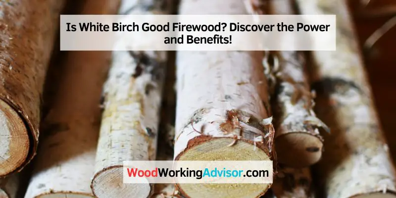 Is White Birch Good Firewood