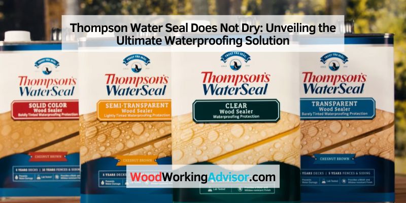 Thompson Water Seal Does Not Dry