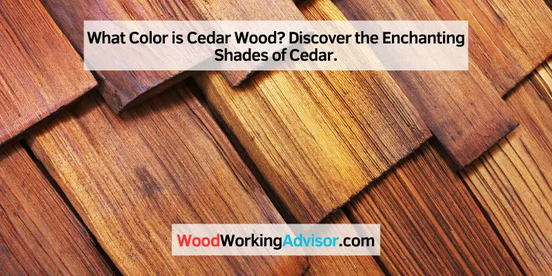 What Color is Cedar Wood