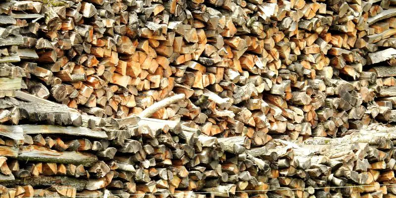 What Does Pecan Wood Look Like