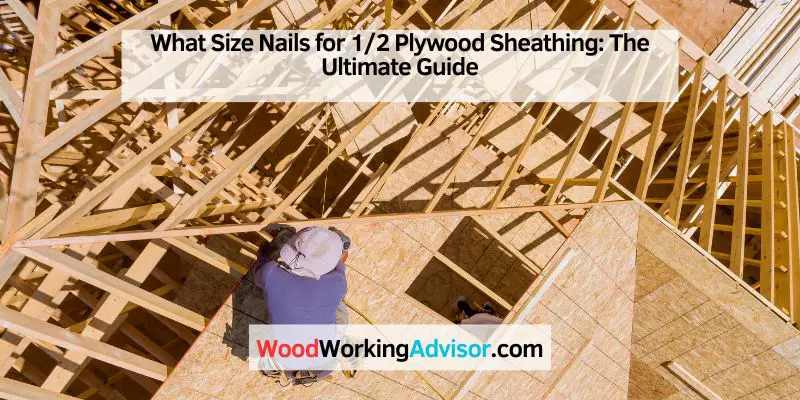 What Size Nails for 1/2 Plywood Sheathing