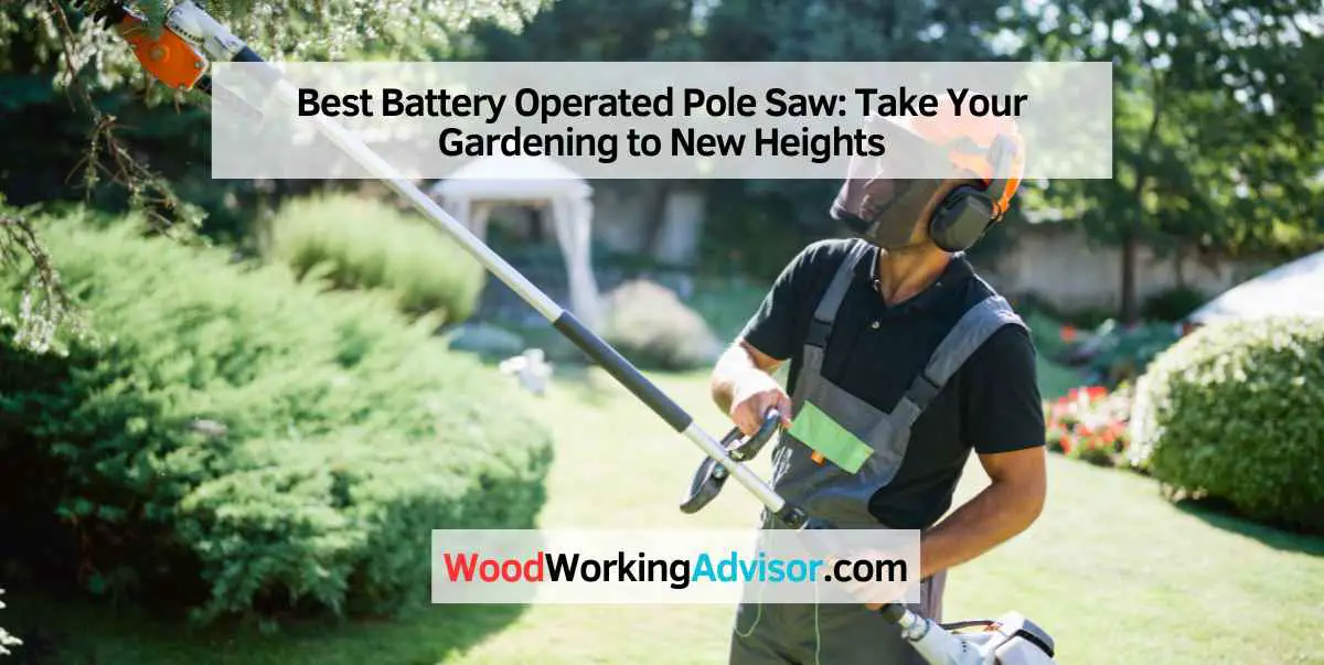 Best Battery Operated Pole Saw