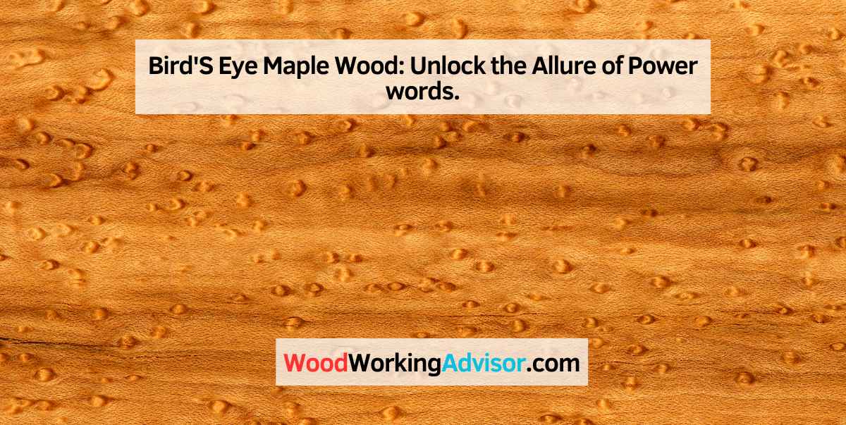 Bird'S Eye Maple Wood
