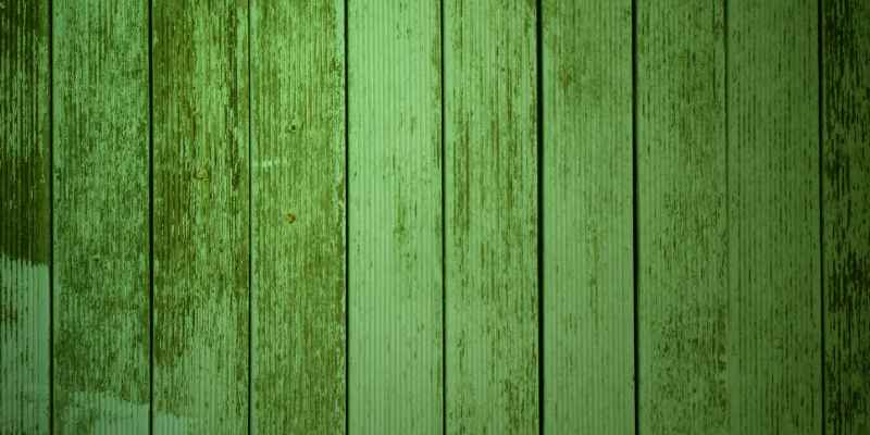 Can You Stain Green Wood