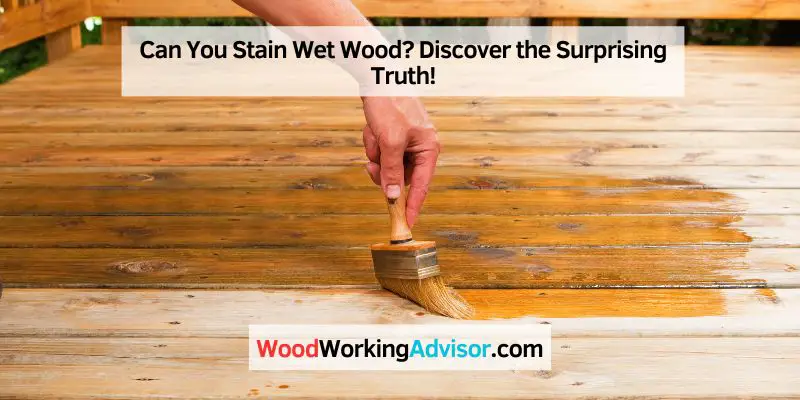 Can You Stain Wet Wood