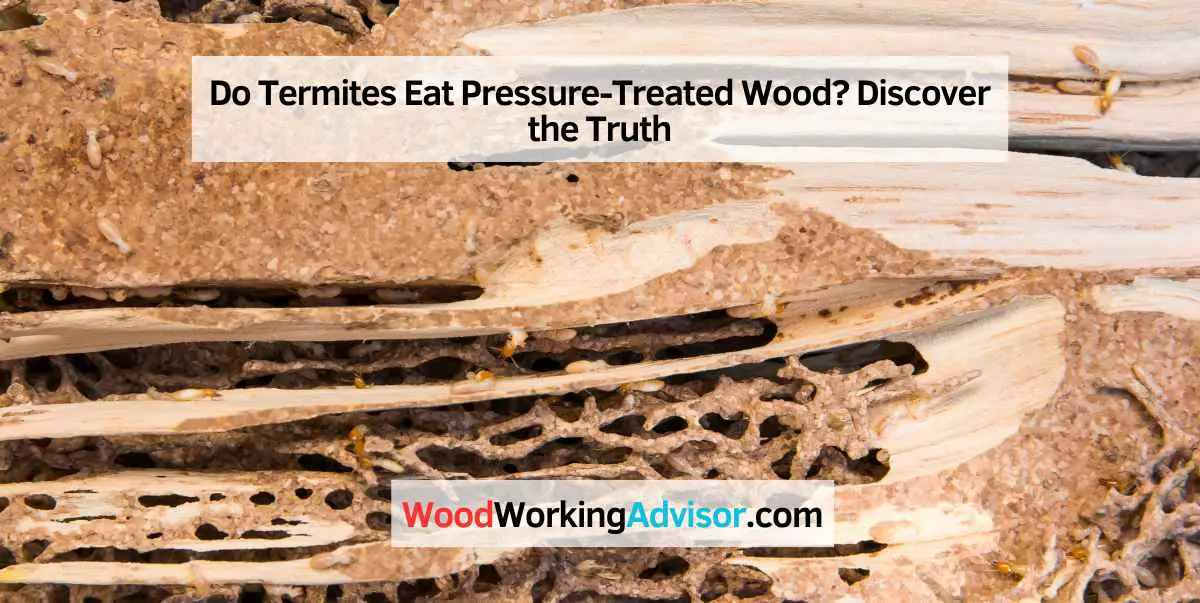 Do Termites Eat Pressure-Treated Wood
