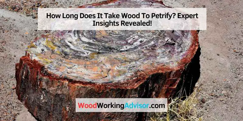How Long Does It Take Wood To Petrify