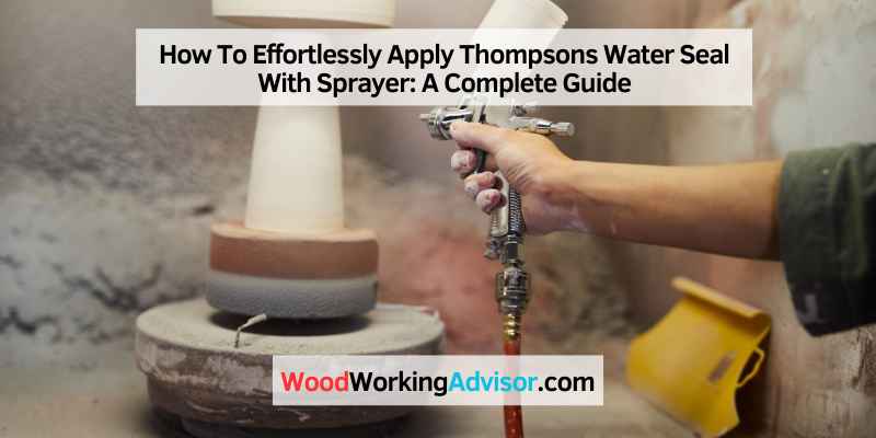 How To Effortlessly Apply Thompsons Water Seal With Sprayer