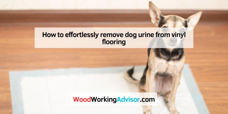 How to effortlessly remove dog urine from vinyl flooring