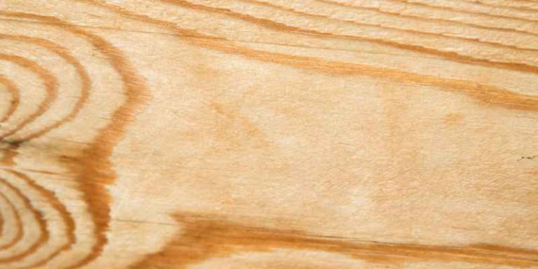 Is Cedar A Hardwood Or Softwood? Discover the Surprising Truth!